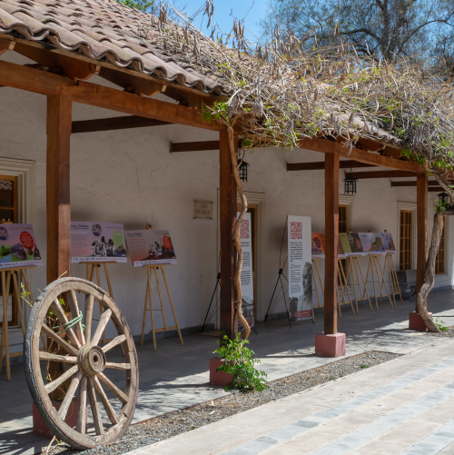 Calles de Providencia: Pocuro