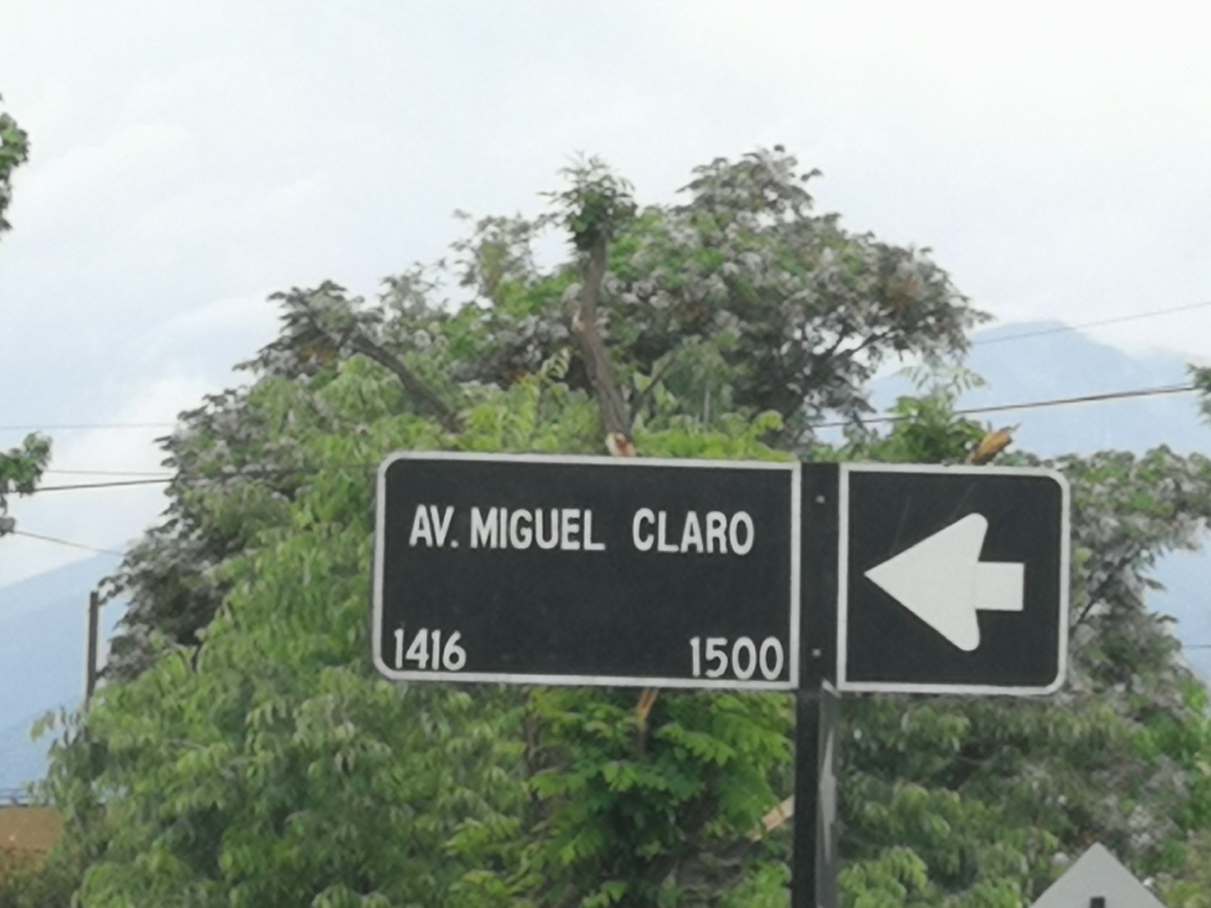 Calles de Providencia: Miguel Claro